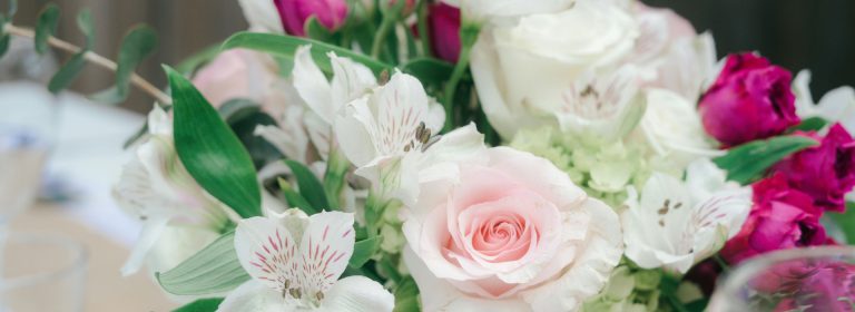 Flowers are the music of the ground